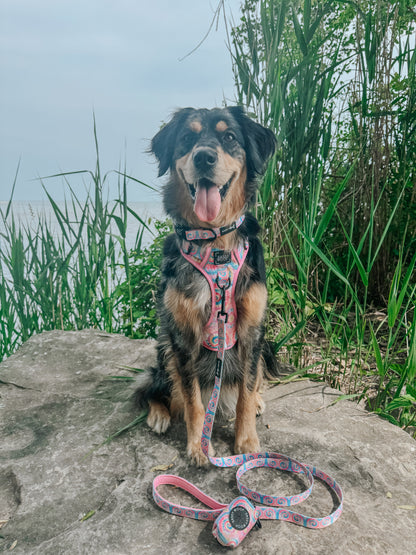 Dog Step-in Harness - Good Vibes