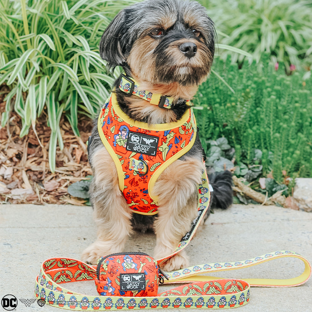 Dog Four Piece Bundle - Wonder Woman™