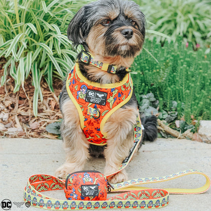 Dog Four Piece Bundle - Wonder Woman™