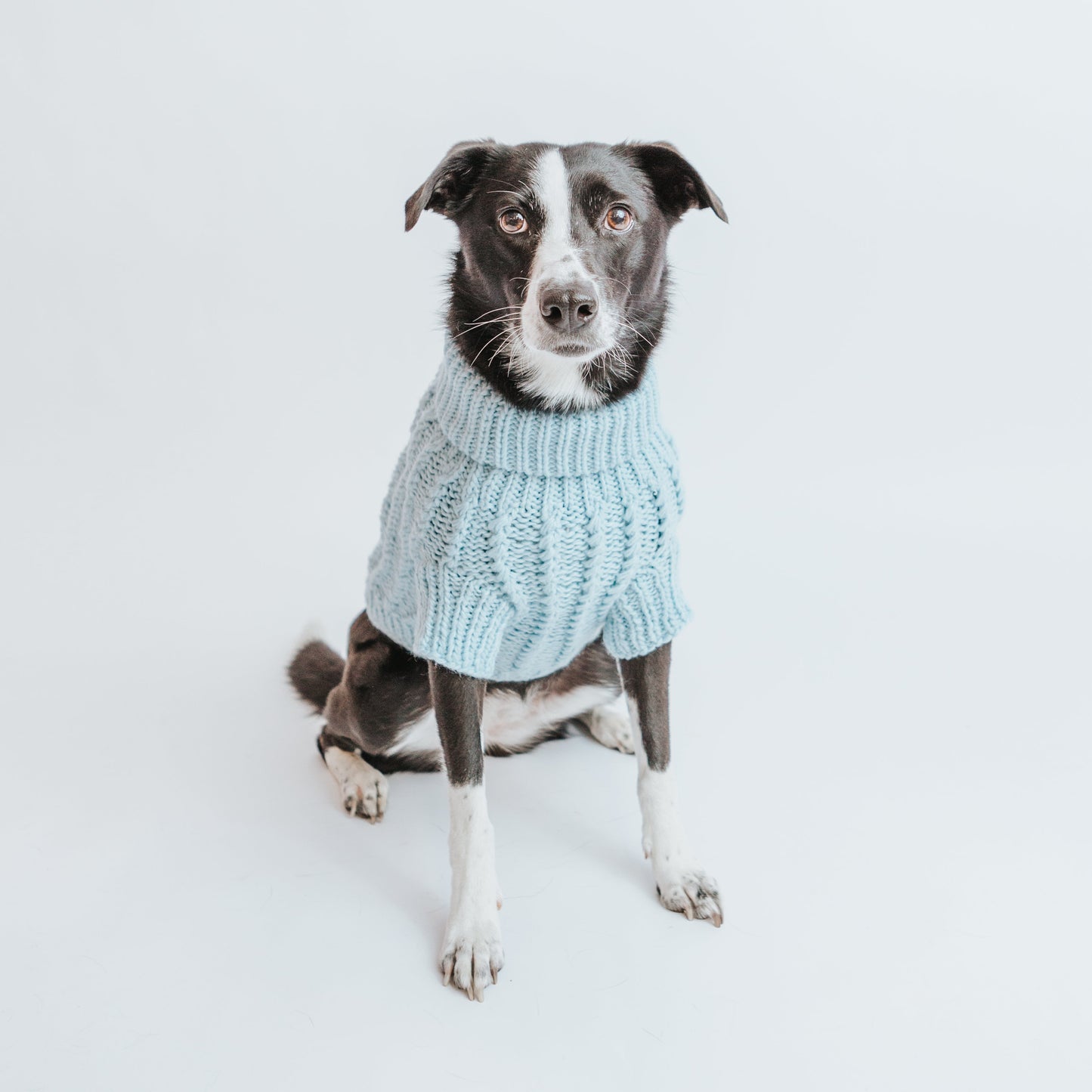 Pet Cable Knit Sweater - Light Blue