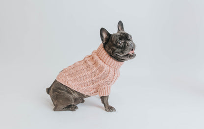 Pet Cable Knit Sweater - Pink