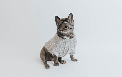 Pet Cable Knit Sweater - Gray