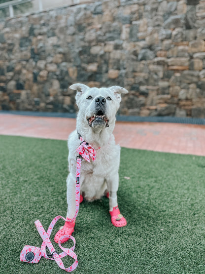 Dog Sailor Bow - Mykonos