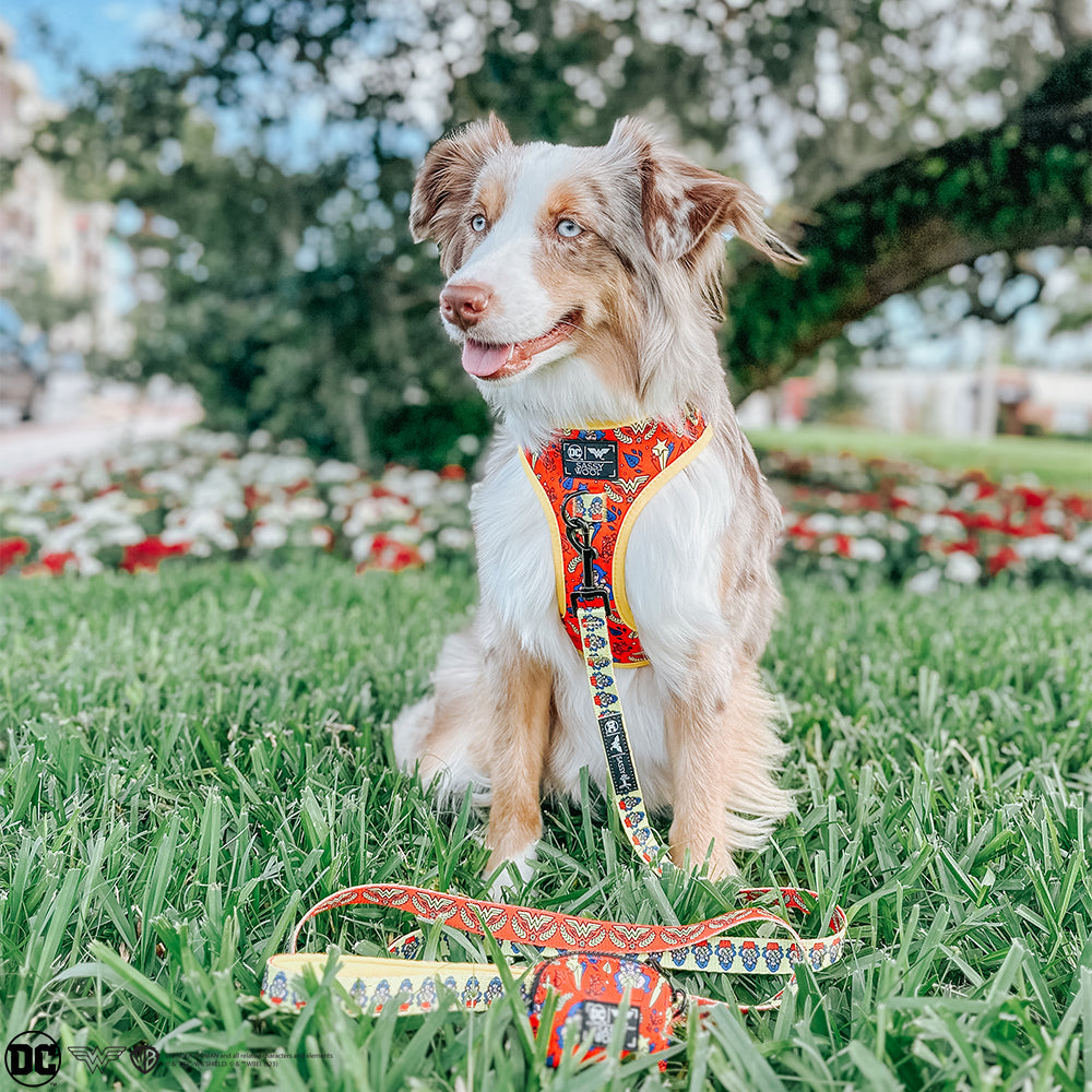 Dog Four Piece Bundle - Wonder Woman™