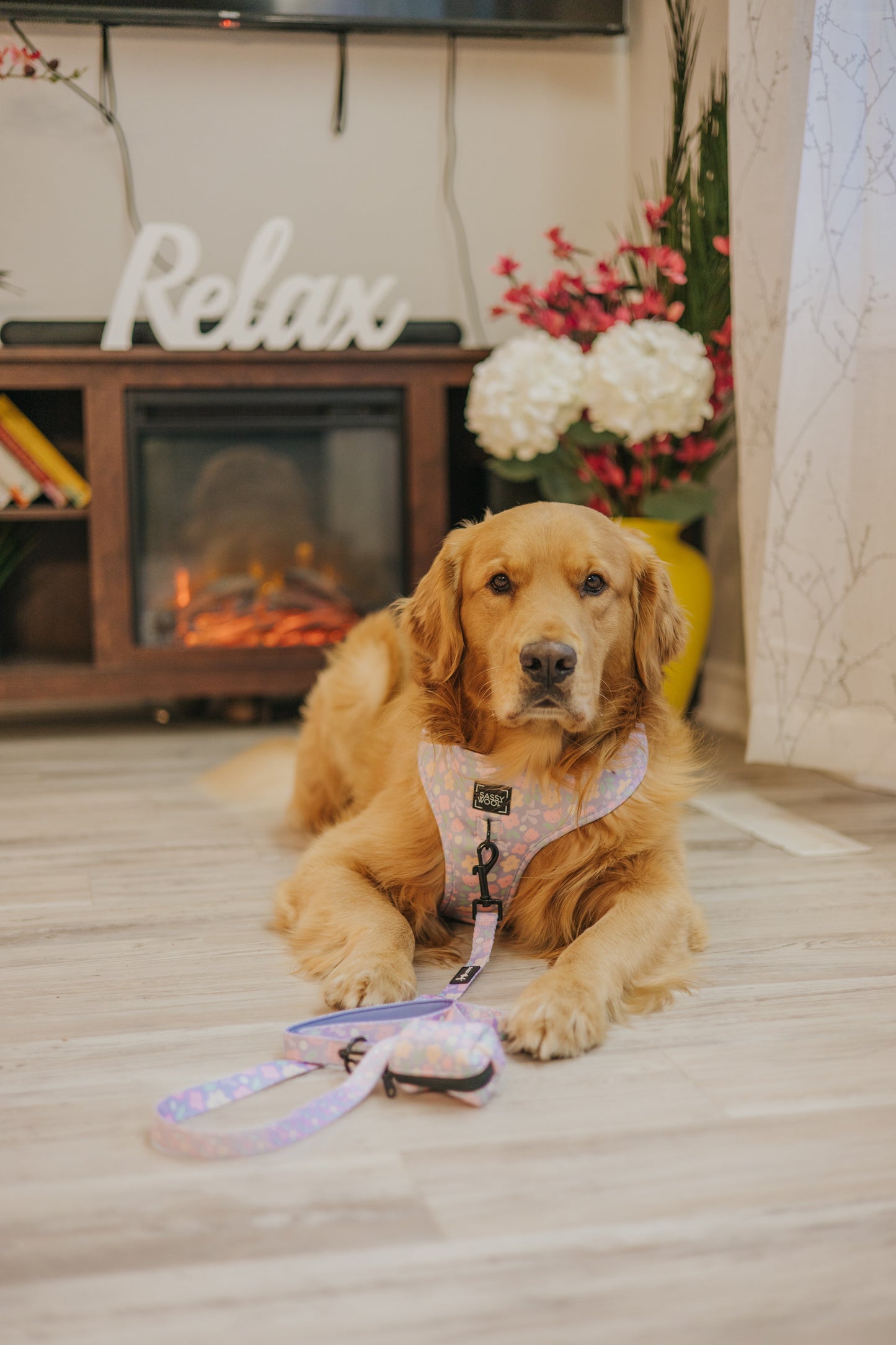 Dog Three Piece Bundle - Fleur de Sass