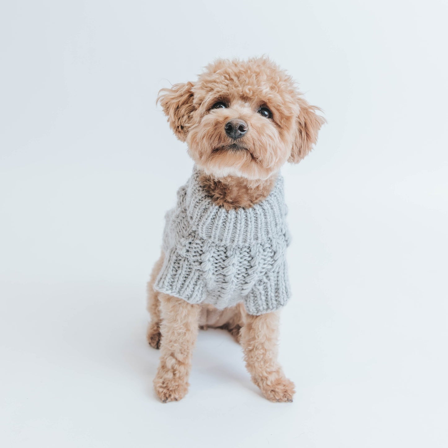Pet Cable Knit Sweater - Gray