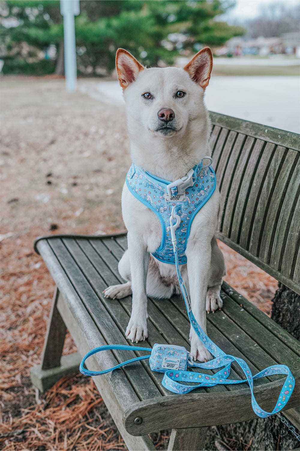 Dog Waste Bag Holder - Cinnamoroll™