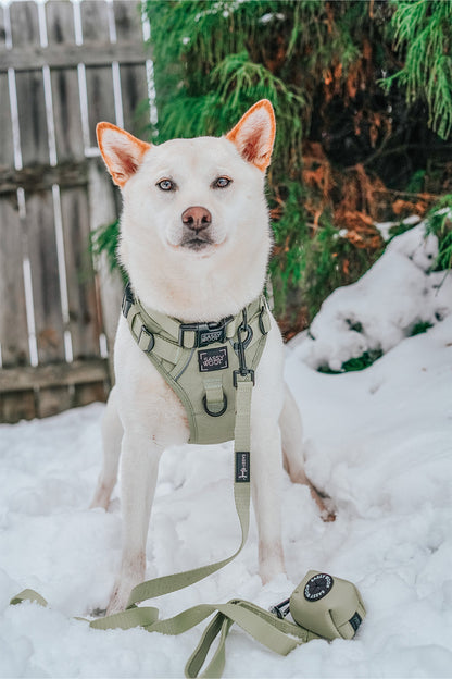 Dog Three Piece Bundle - Matcha