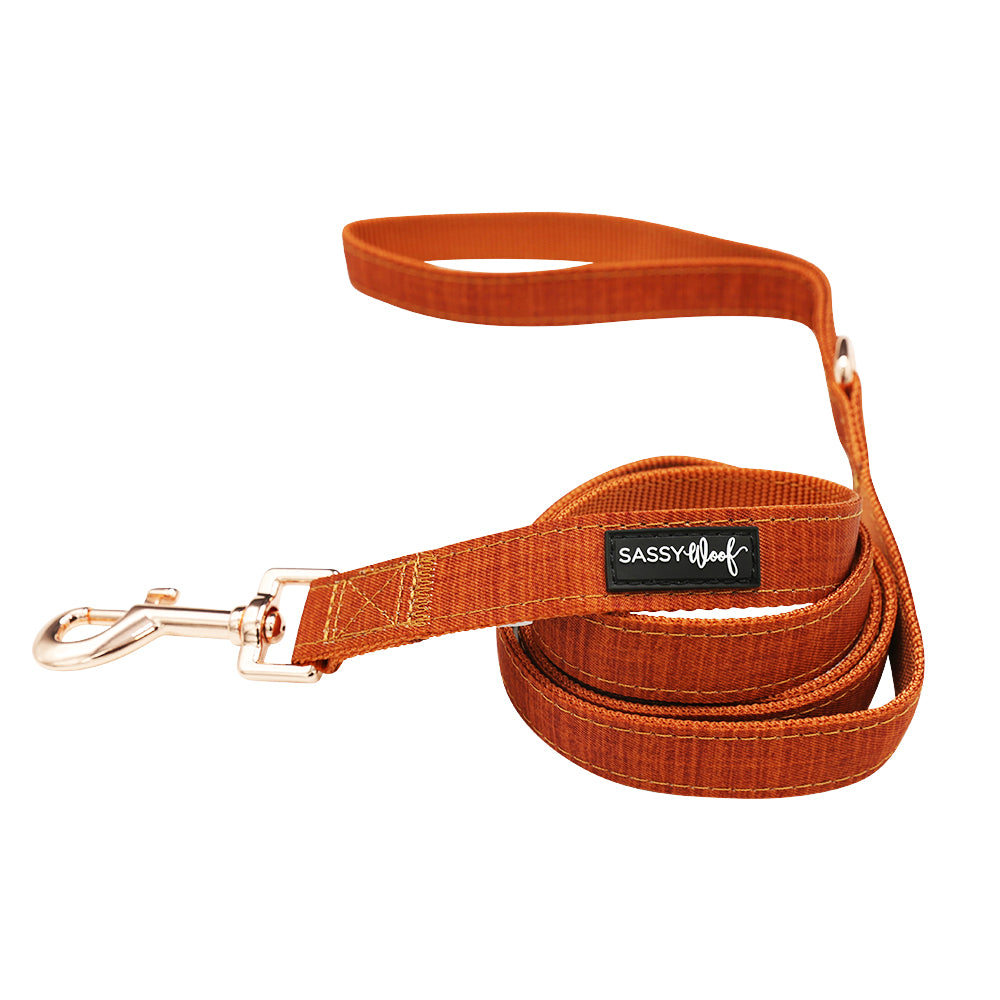 Dog Collar Three Piece Bundle - Foxy
