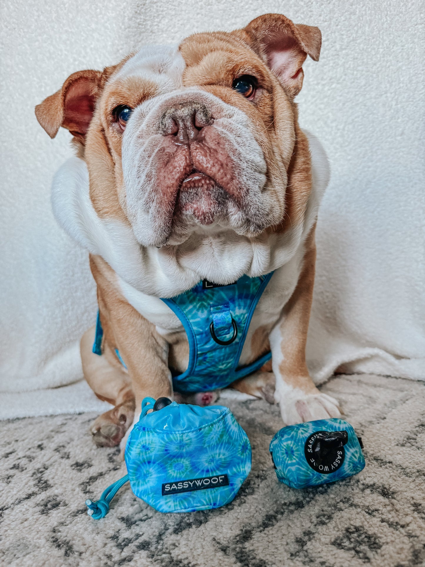 Dog Waste Bag Holder - Tropical Tides