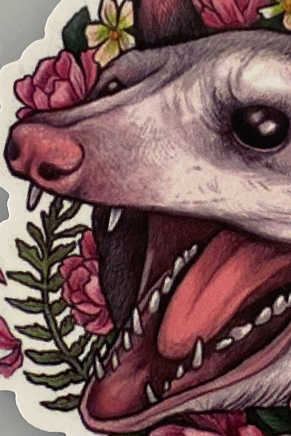 Blossom Possum Sticker