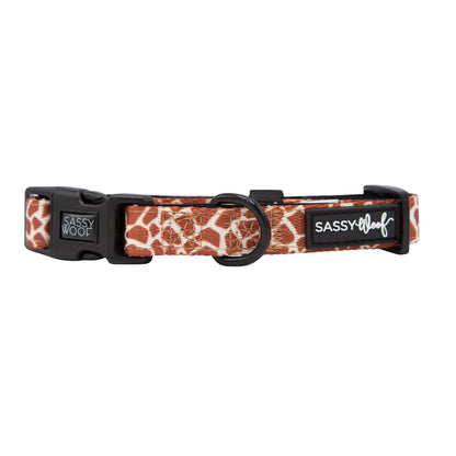 Dog Collar - Giraffic Park