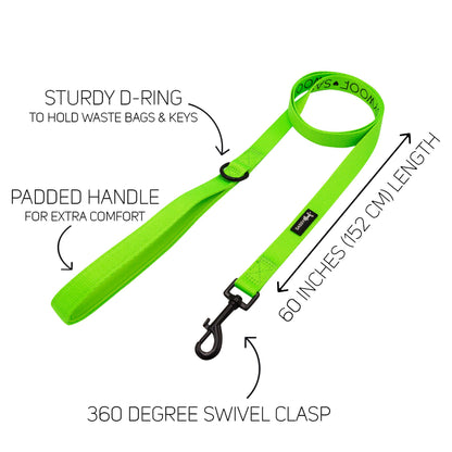 Dog Collar Three Piece Bundle - Neon Green
