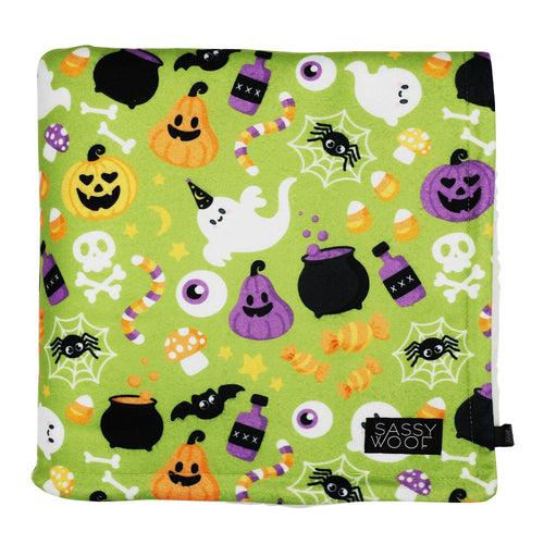 Pet Blanket - Haunt Mess