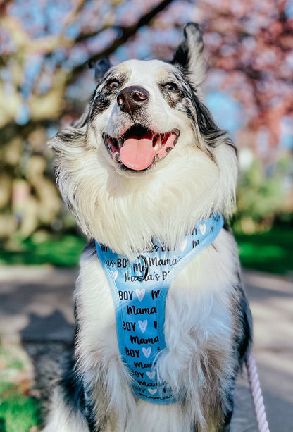 Dog Adjustable Harness - Mama's Boy