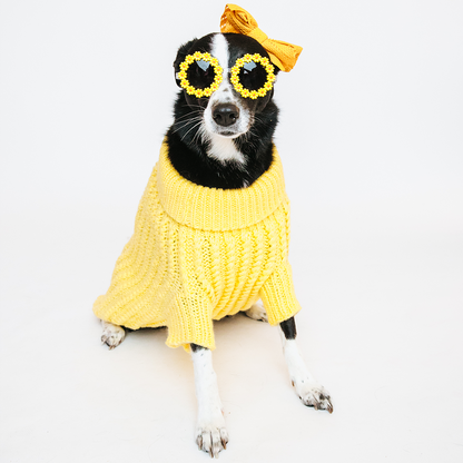 Pet Cable Knit Sweater - Yellow