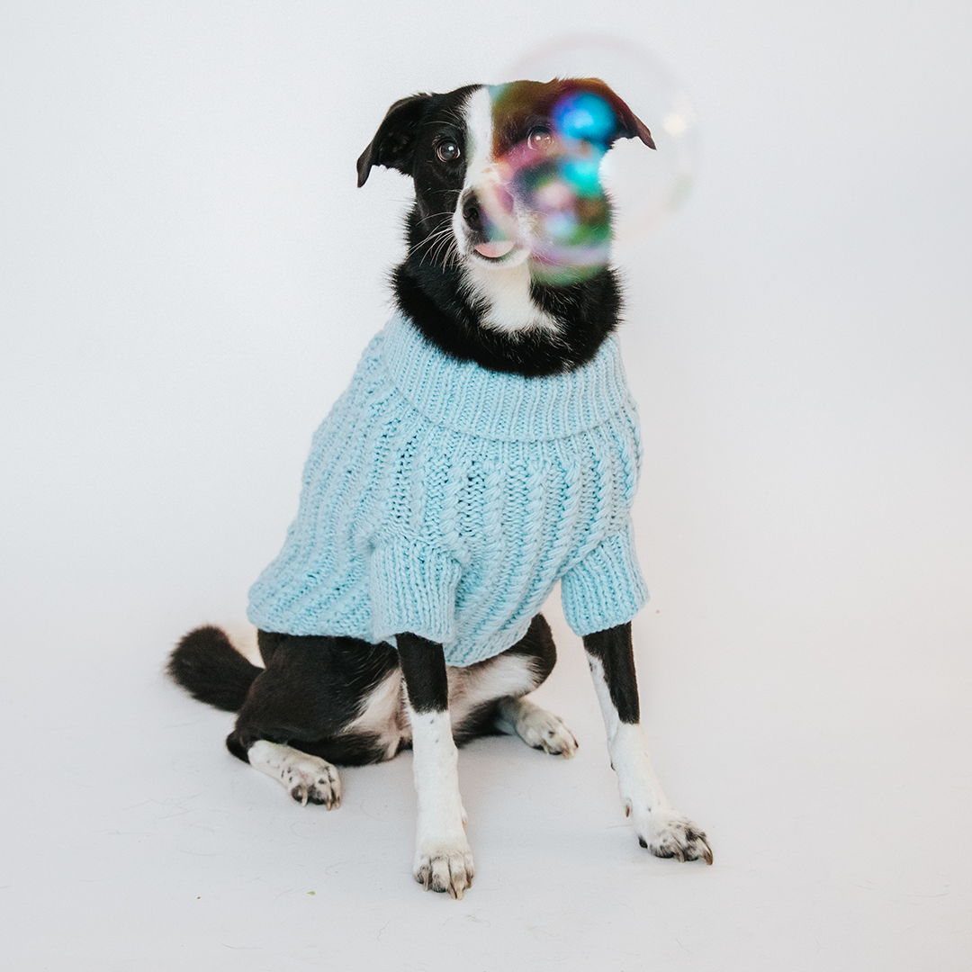 Pet Cable Knit Sweater - Light Blue