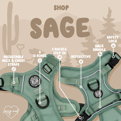 Dog Four Piece Bundle - Sage