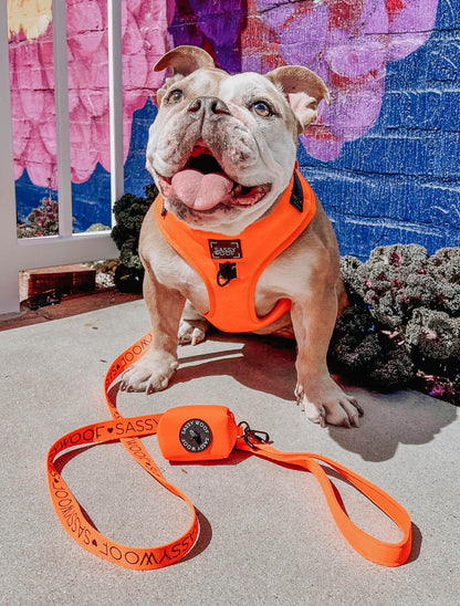 Dog Waste Bag Holder - Neon Orange