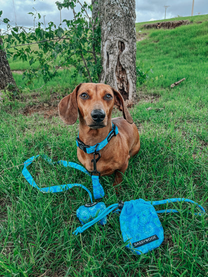 Dog Three Piece Bundle - Tropical Tides