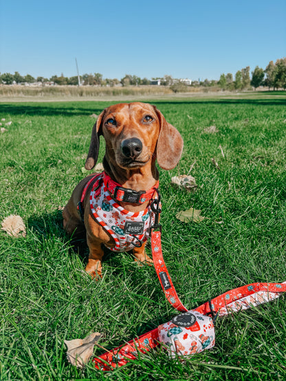 Dog Adjustable Harness - Hot Cocoa Club