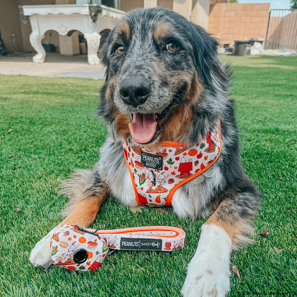 Dog Waste Bag Holder - Peanuts™ Harvest