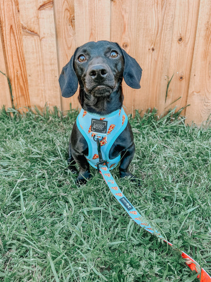 Dog Reversible Harness - One Hot Pupperoni