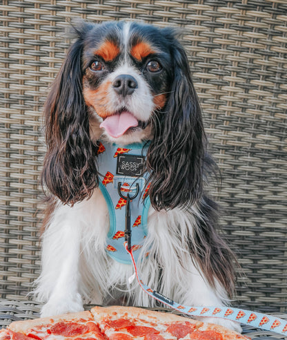 Dog Reversible Harness - One Hot Pupperoni