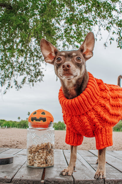 Pet Cable Knit Sweater - Orange