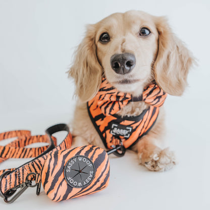 Dog Bowtie - Paw of the Tiger