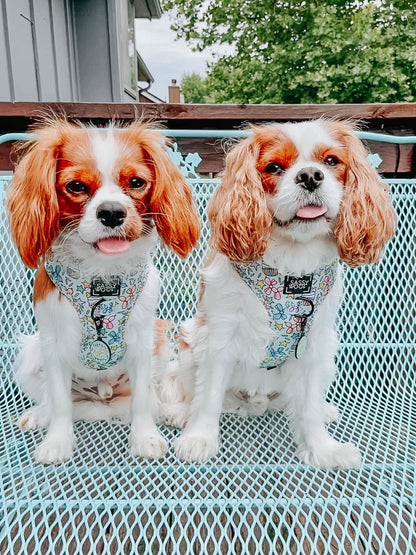 Dog Two Piece Bundle - Pup Pup Hooray