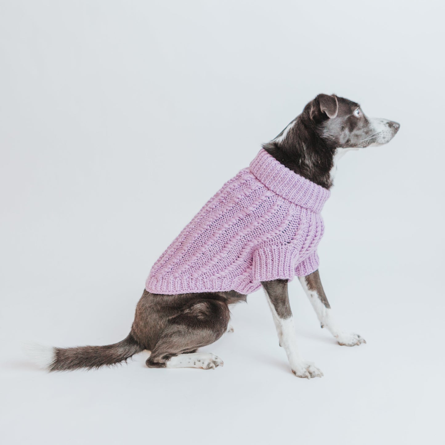 Pet Cable Knit Sweater - Lavender