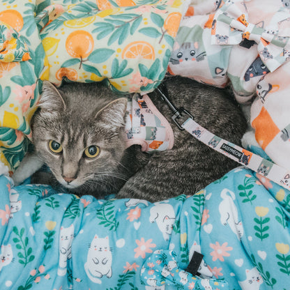 Pet Blanket - Zest Friends