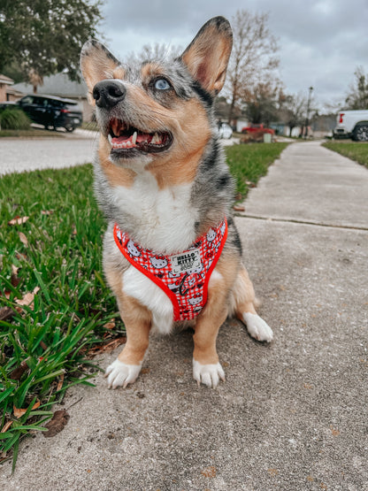 Dog Two Piece Bundle - Hello Kitty® Red Classic