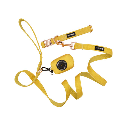 Dog Collar Three Piece Bundle - Sunflower Fields
