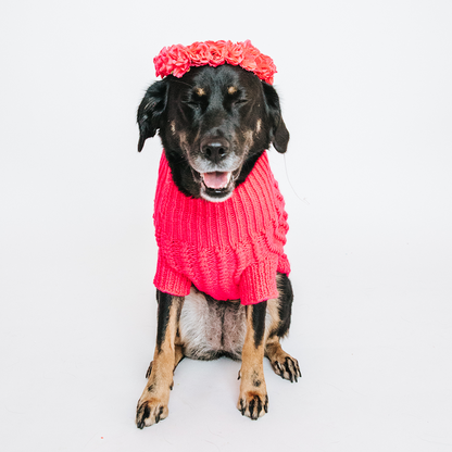Pet Cable Knit Sweater - Hot Pink