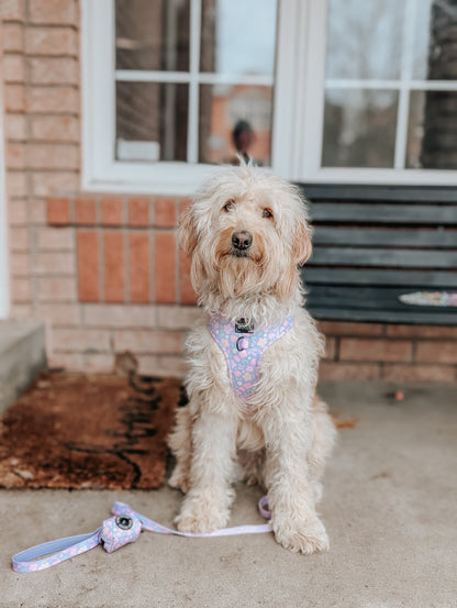 Dog Two Piece Bundle - Fleur de Sass