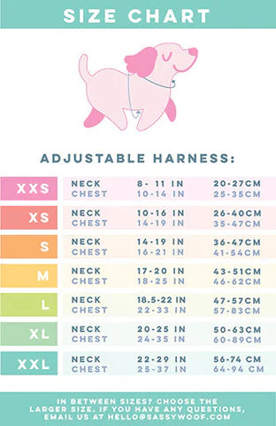 Dog Adjustable Harness - Care Bears™ Care-a-Lot