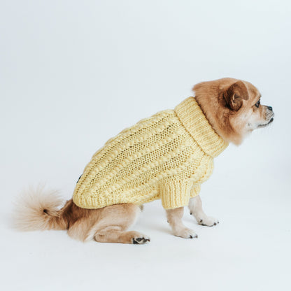 Pet Cable Knit Sweater - Yellow