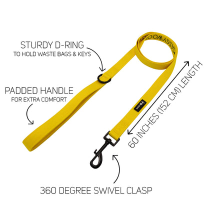 Dog Two Piece Bundle - Neon Yellow