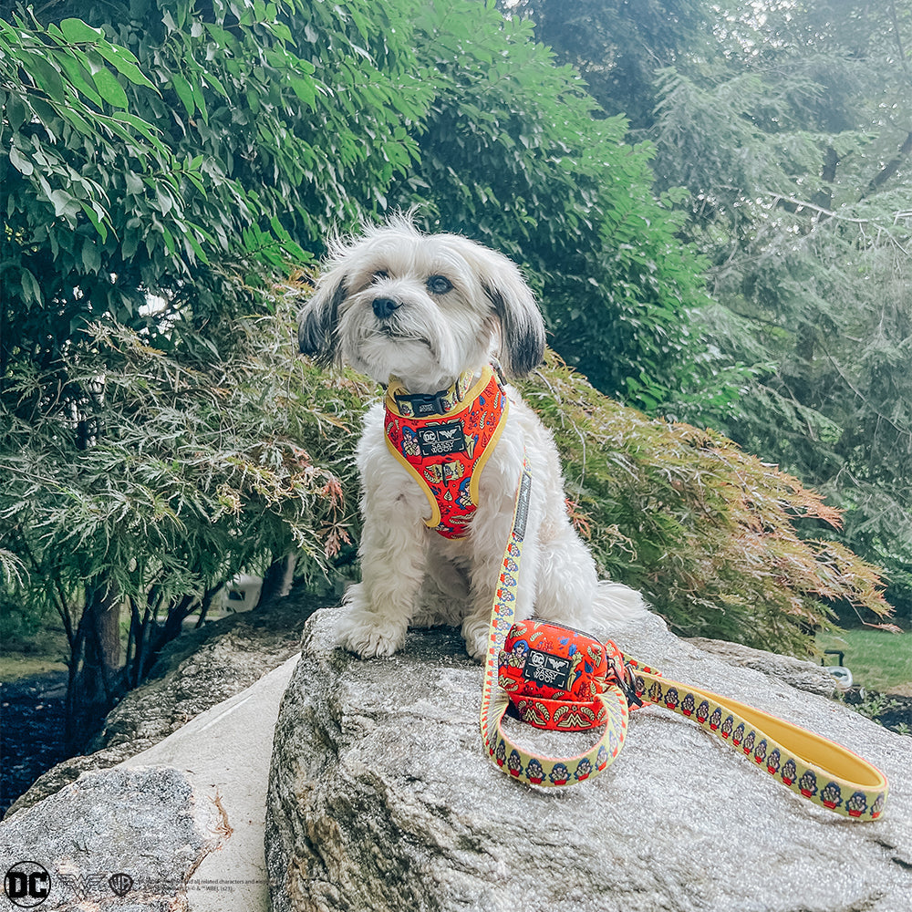 Dog Four Piece Bundle - Wonder Woman™