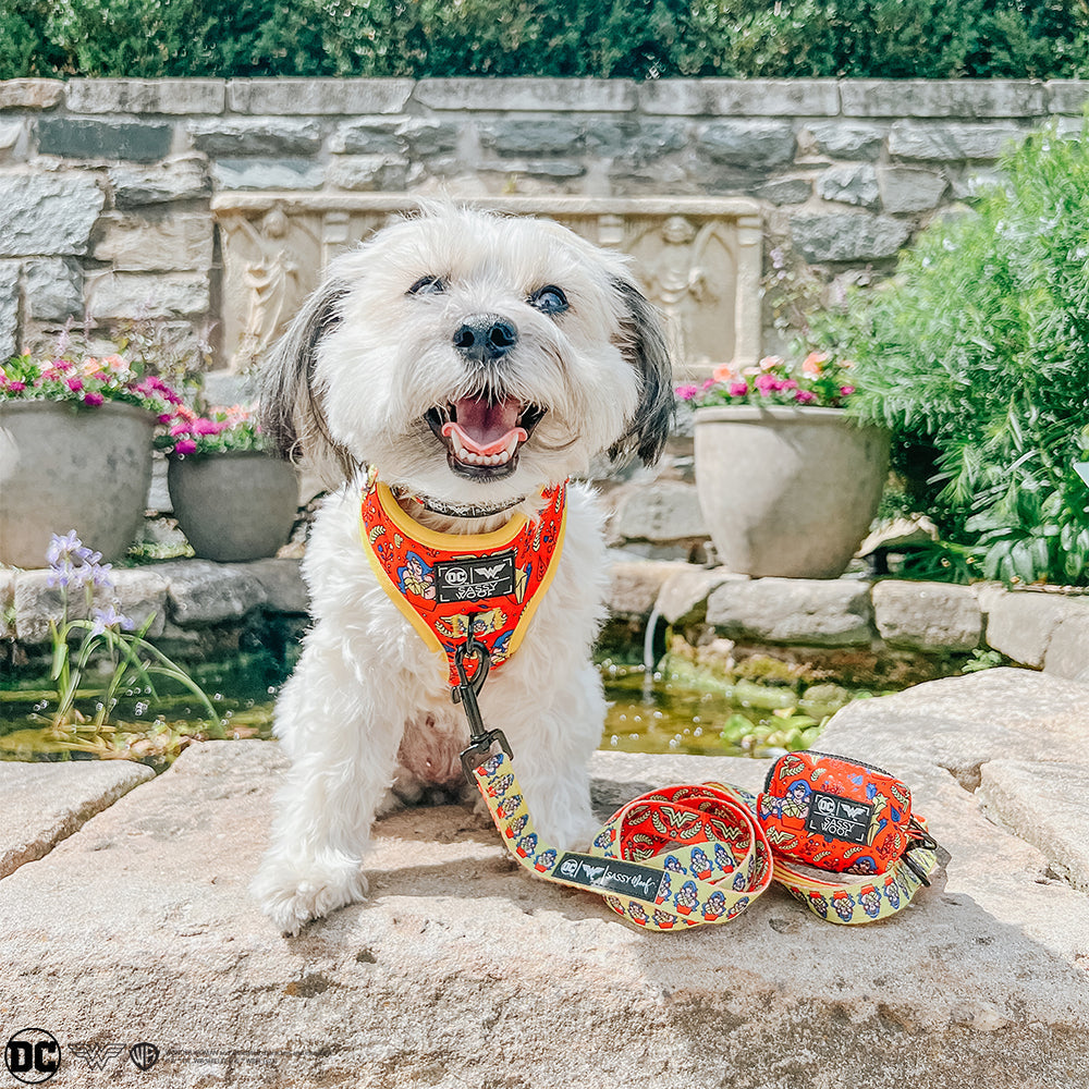 Dog Four Piece Bundle - Wonder Woman™